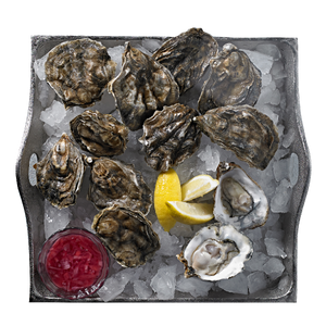 Ramus Oyster Platter 12 (Single)